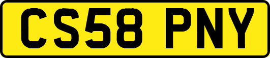 CS58PNY
