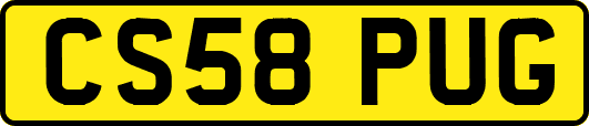 CS58PUG