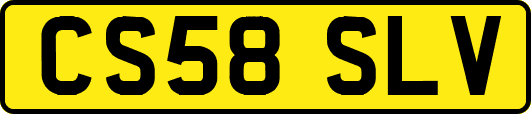 CS58SLV