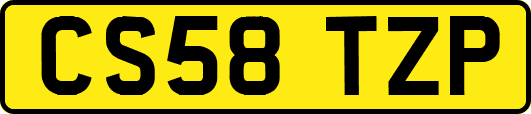 CS58TZP