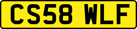 CS58WLF
