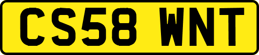 CS58WNT