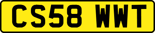 CS58WWT