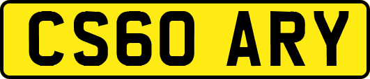 CS60ARY