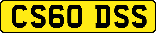 CS60DSS