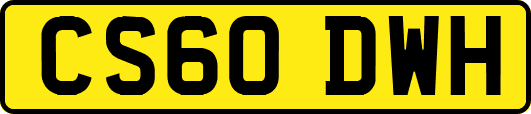 CS60DWH
