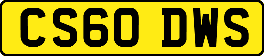 CS60DWS
