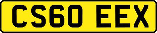 CS60EEX