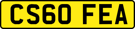 CS60FEA