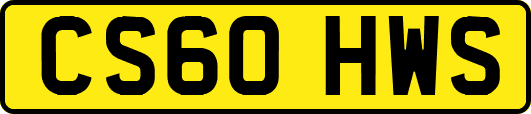 CS60HWS
