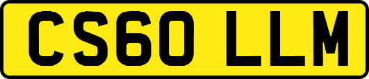 CS60LLM