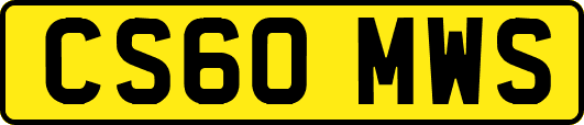 CS60MWS