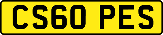 CS60PES