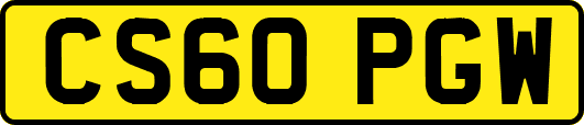CS60PGW