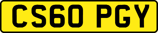 CS60PGY