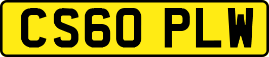 CS60PLW