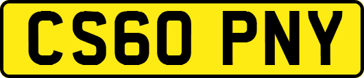 CS60PNY