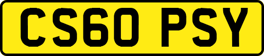 CS60PSY