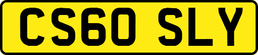 CS60SLY