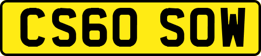 CS60SOW