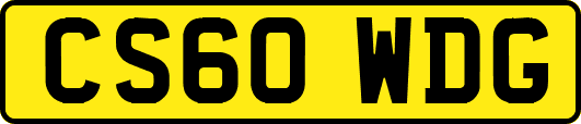 CS60WDG