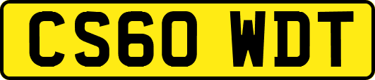 CS60WDT