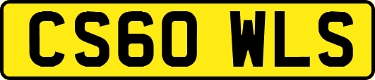 CS60WLS