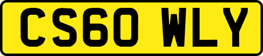 CS60WLY