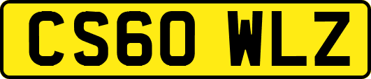 CS60WLZ