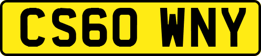 CS60WNY