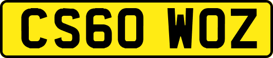 CS60WOZ