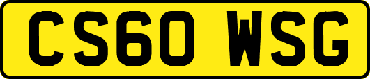 CS60WSG