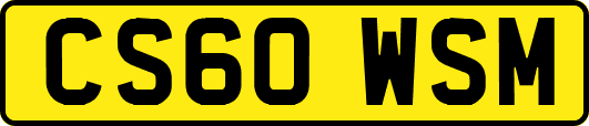 CS60WSM