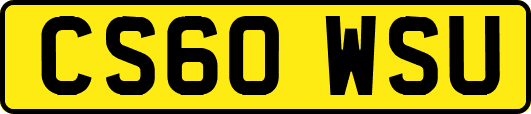 CS60WSU