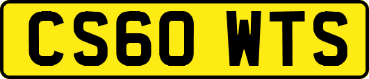 CS60WTS
