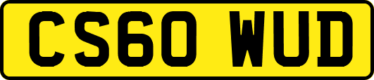 CS60WUD