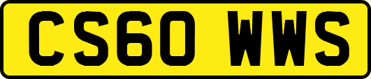 CS60WWS