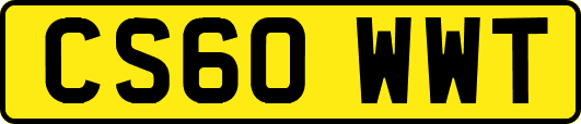 CS60WWT