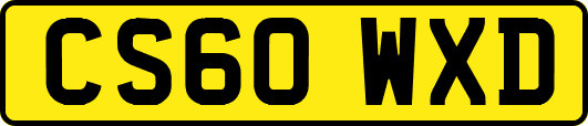 CS60WXD