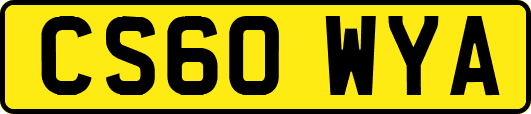 CS60WYA