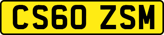 CS60ZSM