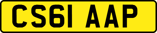 CS61AAP