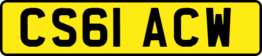 CS61ACW
