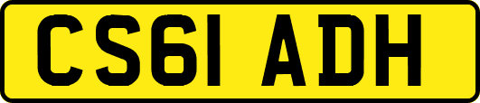 CS61ADH