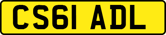 CS61ADL