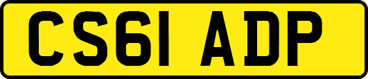 CS61ADP