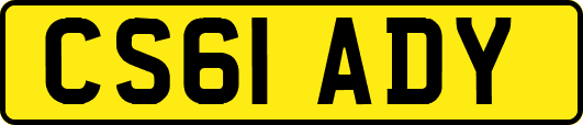 CS61ADY