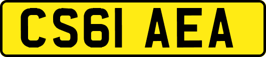 CS61AEA