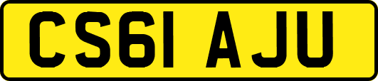 CS61AJU