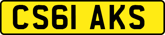 CS61AKS